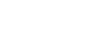 Work Hard Play Hard